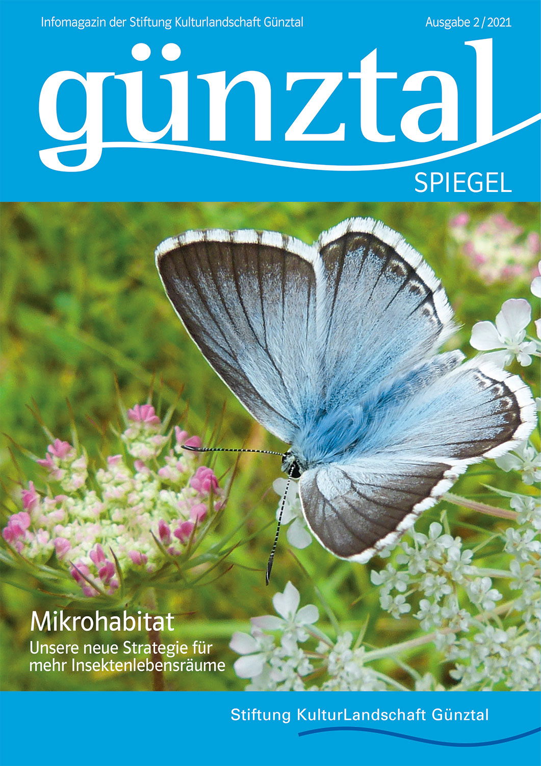 Guenztalspiegel_11_2021.pdf